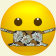 程序图标：Mask DIY