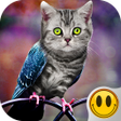 Ícone do programa: Simulator Morph Animal