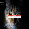 أيقونة البرنامج: Adorable Cat Custom Backg…