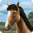 Icoon van programma: My Horse
