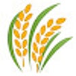 程序图标：more harvest