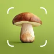 Mushroom ID - Fungi Identifier