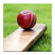 プログラムのアイコン：Cricket Dictionary