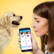 ไอคอนของโปรแกรม: Dog Translator