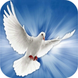 Icon of program: Espiritu Santo