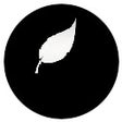 プログラムのアイコン：Smart Notes Extension