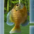 Wild Fishing King 3D Simulator: Flick Fish Frenzy