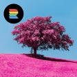 أيقونة البرنامج: RNI Aero