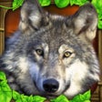 Ikon program: Wildlife Simulator: Wolf