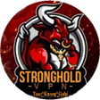 プログラムのアイコン：StrongHold VPN Dark