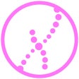 程序图标：Breast Cancer Staging TNM…
