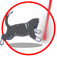 Laser for cat. Cat games. Joke