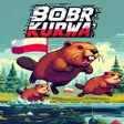 プログラムのアイコン：Bobr Kurwa