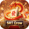 Icoon van programma: 5RT Crow