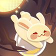 Ikon program: Survival io: Surival io S…