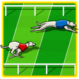 プログラムのアイコン：Dog Race Game