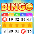程序图标：Bingo Crown : Fun Games
