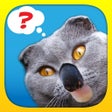 程序图标：1 Pic Combo: Whats the th…