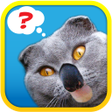 プログラムのアイコン：1 Pic Combo: Whats the Th…