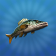 ไอคอนของโปรแกรม: True Fishing 2