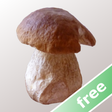 Icon of program: Myco free - Mushroom Guid…