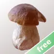 Myco free - Mushroom Guide