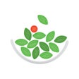 プログラムのアイコン：Simply Salad