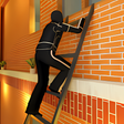プログラムのアイコン：Virtual Home Heist: Rob G…