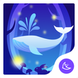 程序图标：Rabbit at night theme for…