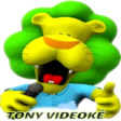 程序图标：Tony Videokê