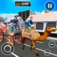 Camel Taxi City Passenger Game