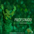 Ícone do programa: Papel de Parede do Palmei…
