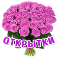 Иконка программы: Открытки на все случаи жи…