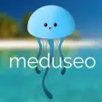 Meduseo : The jellyfish weathe
