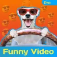 Funny Video pro - Comedy Video