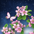 プログラムのアイコン：Night Sakura Live Wallpap…