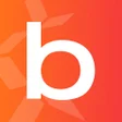 Programikonen: Betsson: Sports Team