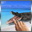 プログラムのアイコン：Biting Crocodile LWP