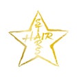 Programın simgesi: hair stars