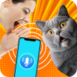 Ikona programu: Cat translator - Meow lan…