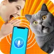 Cat translator - Meow language