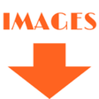 أيقونة البرنامج: Images downloader