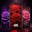 Icon of program: Rose Wallpaper HD Flower …