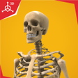 程序图标：Human Skeletal System