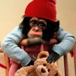 Иконка программы: Monkey Wallpapers
