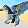 Ikon program: Pegasus Flight Simulator …