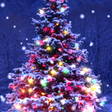 程序图标：Christmas Live Wallpaper