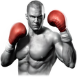 Icon of program: Real Boxing
