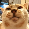 ไอคอนของโปรแกรม: Image hunter