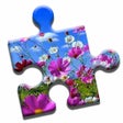 ไอคอนของโปรแกรม: Beautiful Nature Puzzle